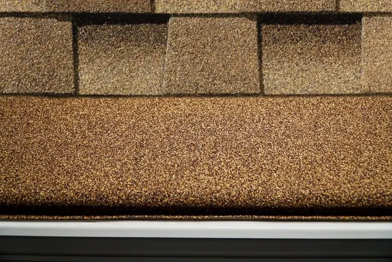 Beach Brown