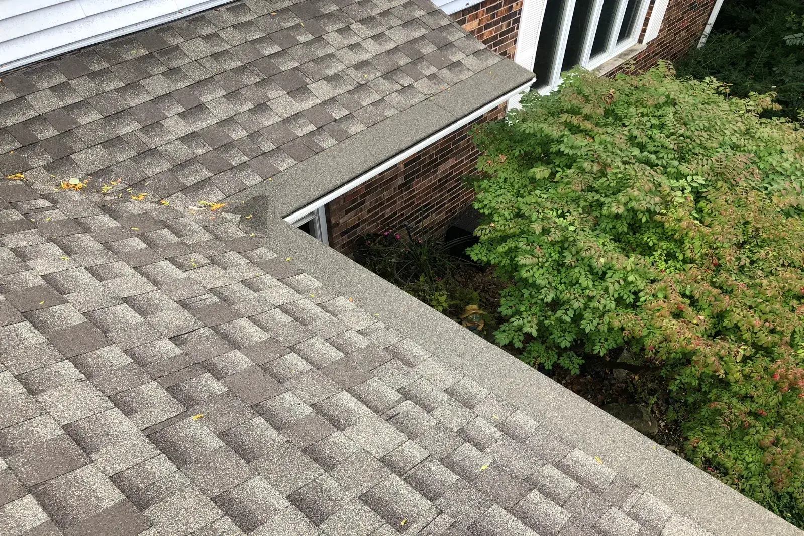 The Real Cost of "Free" Gutter Cleaning