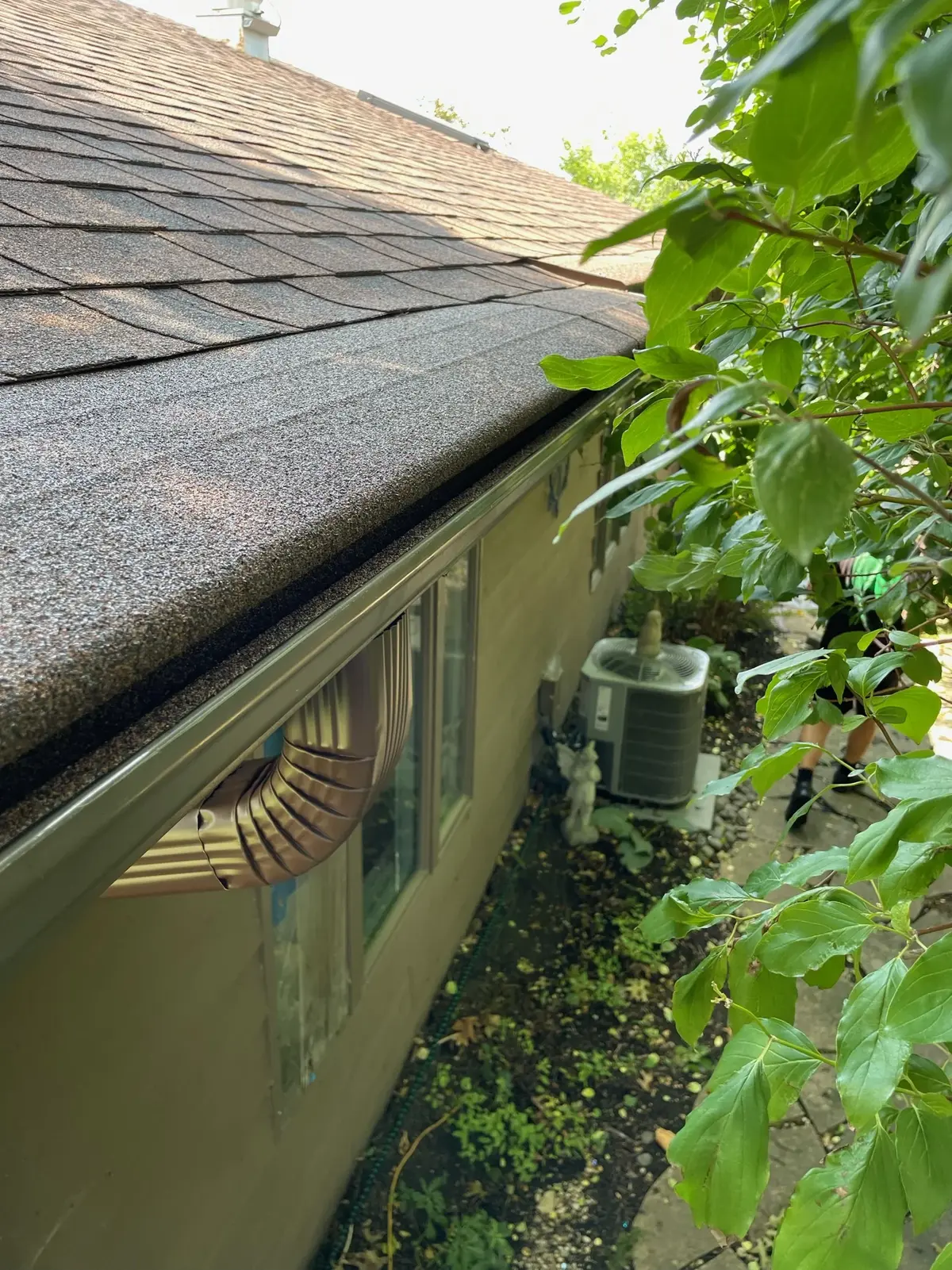 What Water Damage Actually Costs